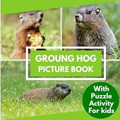 Ground hog picture for sale  Delivered anywhere in UK