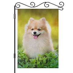 Aoyego pomeranian dog for sale  Delivered anywhere in USA 