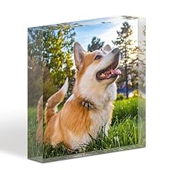 Tullun acrylique cristal d'occasion  Livré partout en France