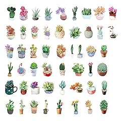 Succulent plant aesthetic for sale  Delivered anywhere in USA 