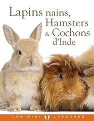 Lapins nains hamsters d'occasion  Livré partout en Belgiqu