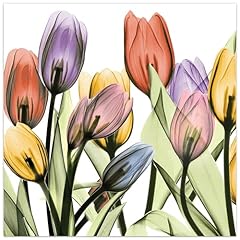 Empire art direct for sale  Delivered anywhere in USA 
