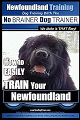 Newfoundland training dog for sale  Delivered anywhere in UK