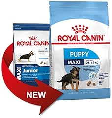 Royal canin maxi usato  Spedito ovunque in Italia 