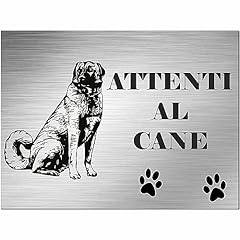 Indigos pastore kangal usato  Spedito ovunque in Italia 