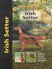 Irish setter for sale  Delivered anywhere in UK