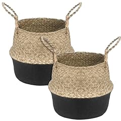2pcs basket plant for sale  Delivered anywhere in USA 