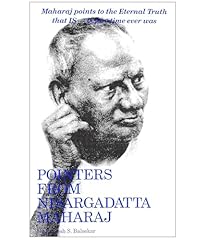 Pointers from nisargadatta gebraucht kaufen  Wird an jeden Ort in Deutschland
