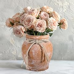 Comsaf terracotta rustic for sale  Delivered anywhere in USA 