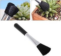 Jjlfresheners black succulent for sale  Delivered anywhere in USA 