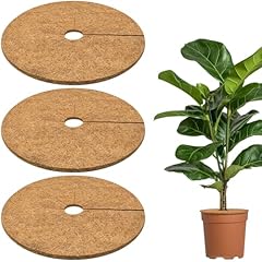 Zeedix pcs coconut for sale  Delivered anywhere in USA 