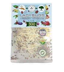 Live ladybugs good for sale  Delivered anywhere in USA 