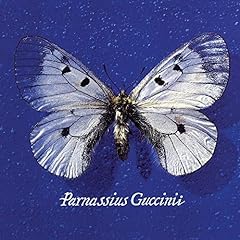 Parnassius guccinii usato  Spedito ovunque in Italia 