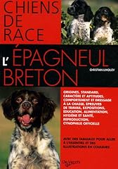 épagneul breton d'occasion  Livré partout en France