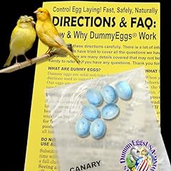 Dummyeggs canary dummy for sale  Delivered anywhere in UK