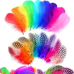 300 pièces plumes d'occasion  Livré partout en France