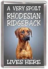 Rhodesian ridgeback dog for sale  Delivered anywhere in UK