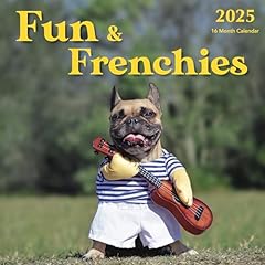 2025 fun frenchies for sale  Delivered anywhere in USA 