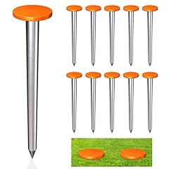 10pack low survey for sale  Delivered anywhere in USA 