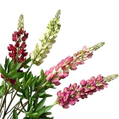 Bqee bouquet lupino usato  Spedito ovunque in Italia 