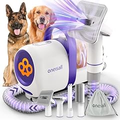 Oneisall cane aspirapolvere usato  Spedito ovunque in Italia 