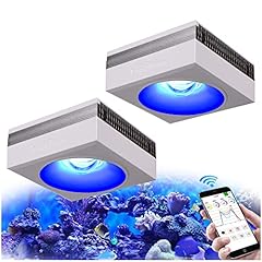Popbloom wifi led usato  Spedito ovunque in Italia 
