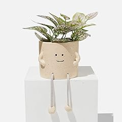 Sitting indoor plant for sale  Delivered anywhere in USA 
