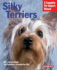 Silky terriers for sale  Delivered anywhere in UK
