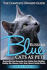 Russian blue cats for sale  Delivered anywhere in Ireland