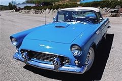 1956 thunderbird mouse for sale  Delivered anywhere in USA 
