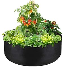 Iwntwy gallon large for sale  Delivered anywhere in USA 