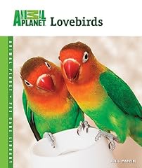 Lovebirds for sale  Delivered anywhere in USA 