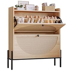 Ironck shoe cabinet for sale  Delivered anywhere in USA 