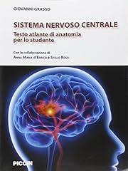 Sistema nervoso centrale. usato  Spedito ovunque in Italia 
