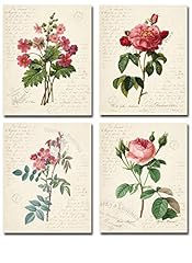 Paris Botanicals Art Prints - Set of Four Photos 8x10 for sale  Delivered anywhere in Canada