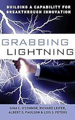 Grabbing lightning building d'occasion  Livré partout en Belgiqu