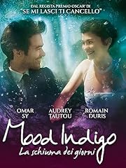 Mood indigo schiuma usato  Spedito ovunque in Italia 