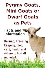 Pygmy goats mini for sale  Delivered anywhere in UK