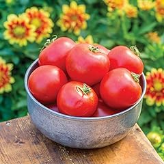 Tomato crimson crush for sale  Delivered anywhere in UK