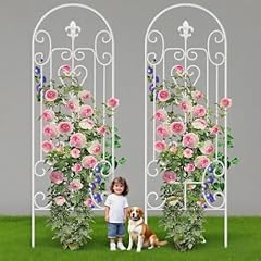 Amagabeli garden home for sale  Delivered anywhere in USA 