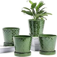 Buymax plant pots for sale  Delivered anywhere in USA 