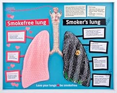 Stop smoking smokefree for sale  Delivered anywhere in Ireland