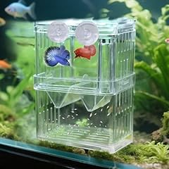 Aquarium fish breeding for sale  Delivered anywhere in UK