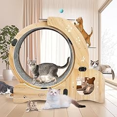 Inch cat exercise for sale  Delivered anywhere in USA 