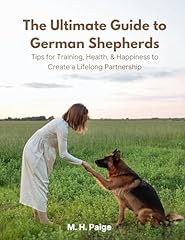 Ultimate guide german for sale  Delivered anywhere in USA 