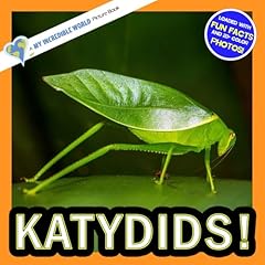 Katydids incredible picture for sale  Delivered anywhere in UK