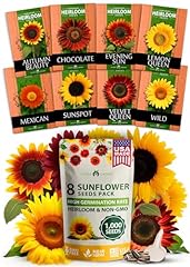 Home grown sunflower for sale  Delivered anywhere in USA 