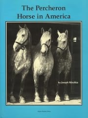 The percheron horse d'occasion  Livré partout en France
