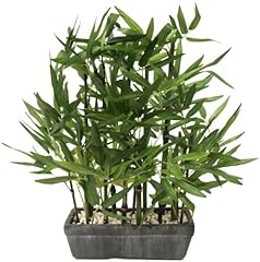 Flair flower bambou d'occasion  Livré partout en France