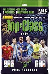Panini fifa top usato  Spedito ovunque in Italia 